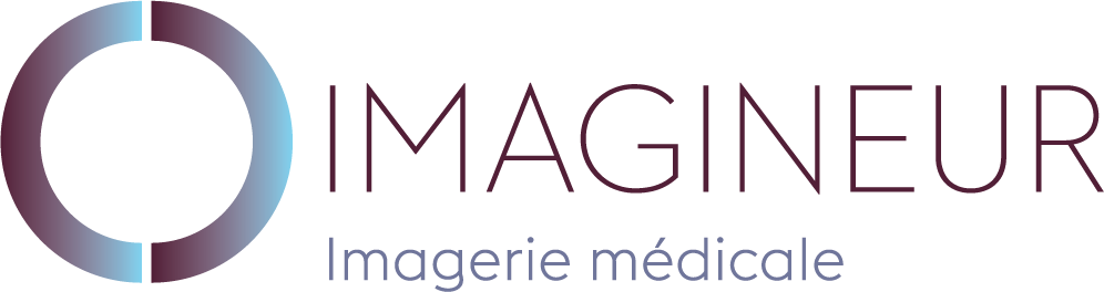 Logo Imagineur